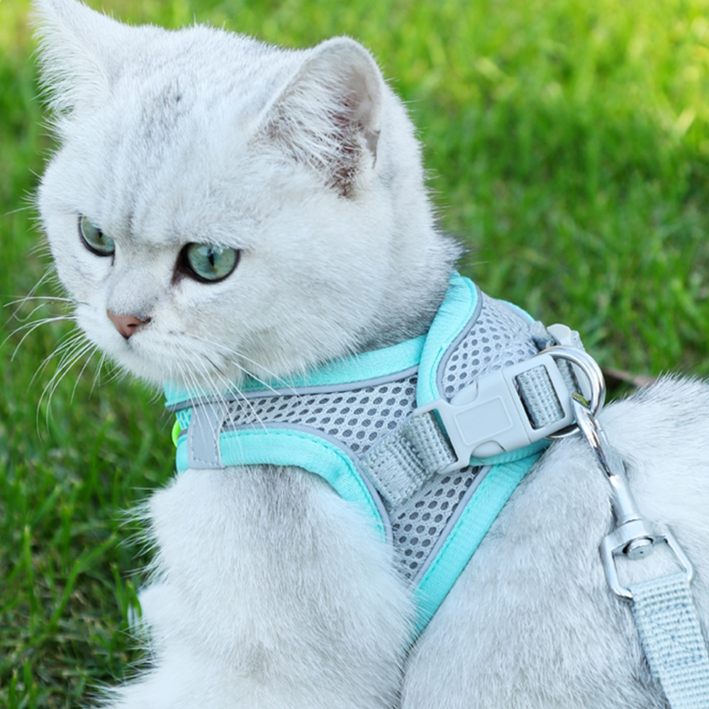 Pet Reflective Collar